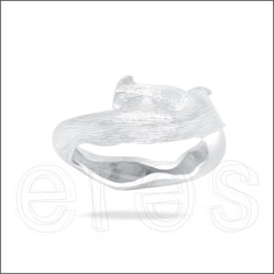 Bague en argent