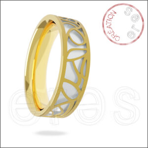 Alliance pour LUI - Spiderweb