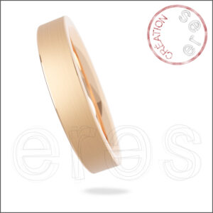 Alliance pour LUI - Eco